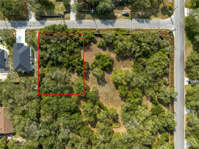 a view of a garden with flowers