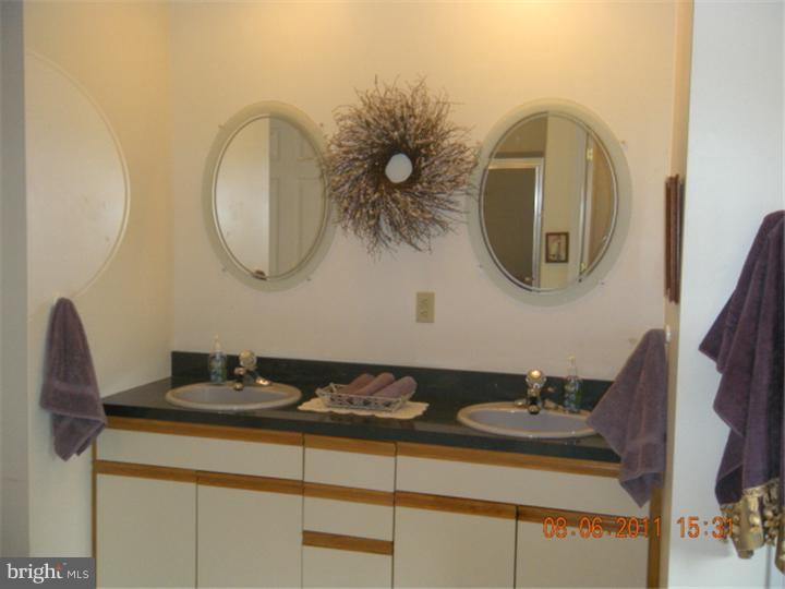 27737 Mt Pleasant Road Columbus, NJ 08022 - Photo 14 of 23 Master Bathroom