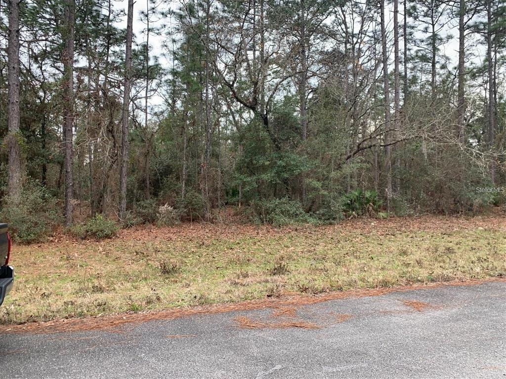 156 St Ocala Ocala, FL 34473 - Photo 5 of 6 a backyard of a house with large trees