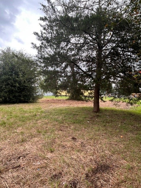 0 2nd Street Hempstead, TX 77445 - Photo 2 of 5