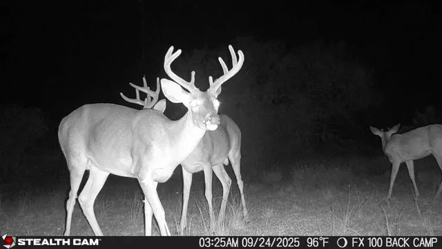 a view of balcony with wooden floor