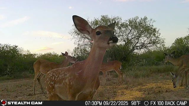 a view of a outdoor space