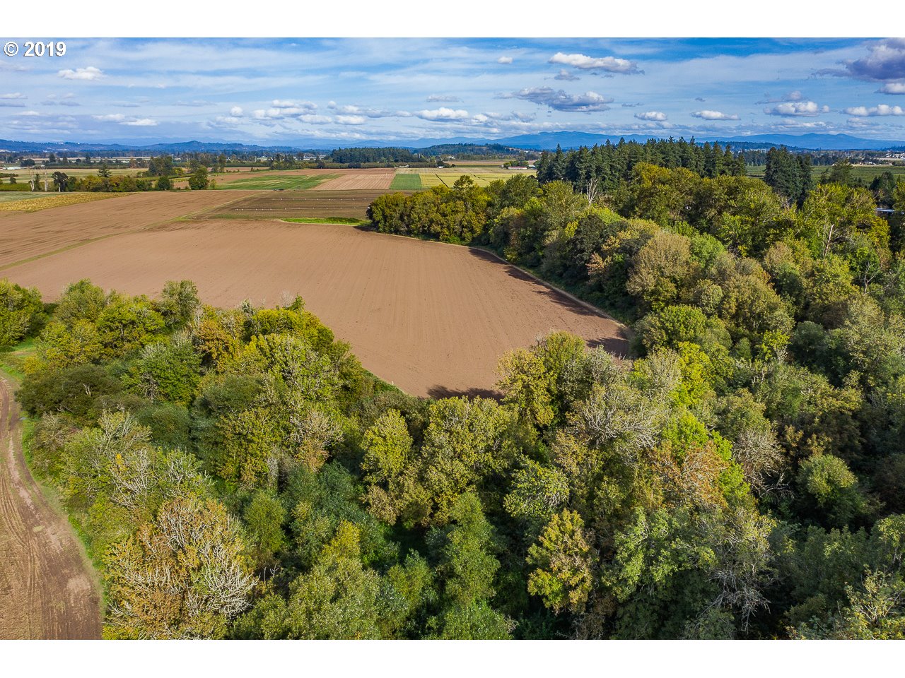 31845 Dever Conner Road Northeast Albany, OR 97321 - Photo 7 of 14 Gallery Image 7