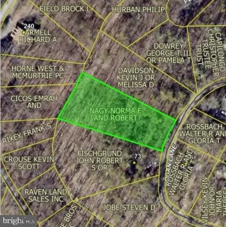 $39,000 | Bogan, Mount Jackson, VA 22842