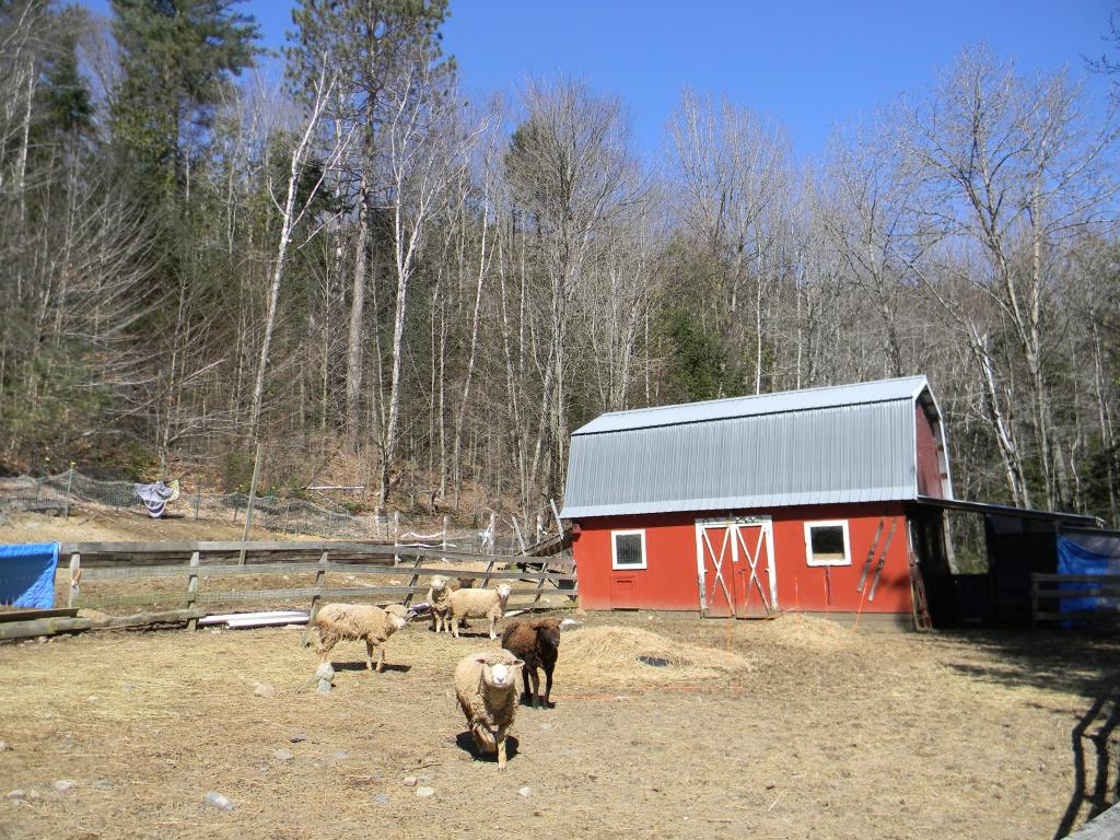 746 Percy Road Stark, NH 03582 - Photo 6 of 36