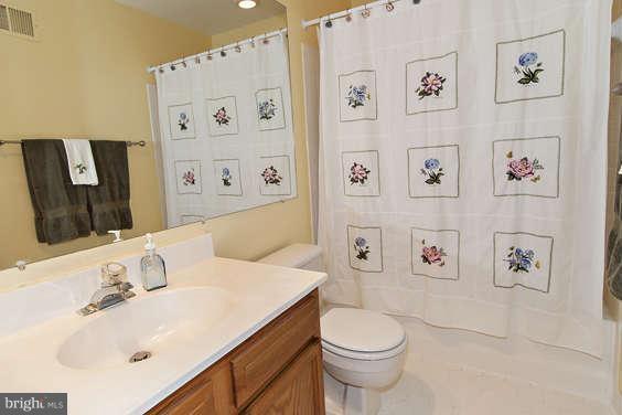 2803 Deer Ridge Drive Silver Spring, MD 20904 - Photo 19 of 30 a bathroom with a sink and a mirror