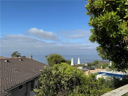 a city view with tall trees