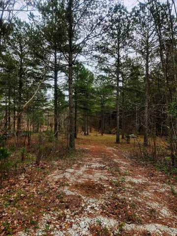 $750,000 | 220 Browns Trace Road, South Pittsburg, TN 37380