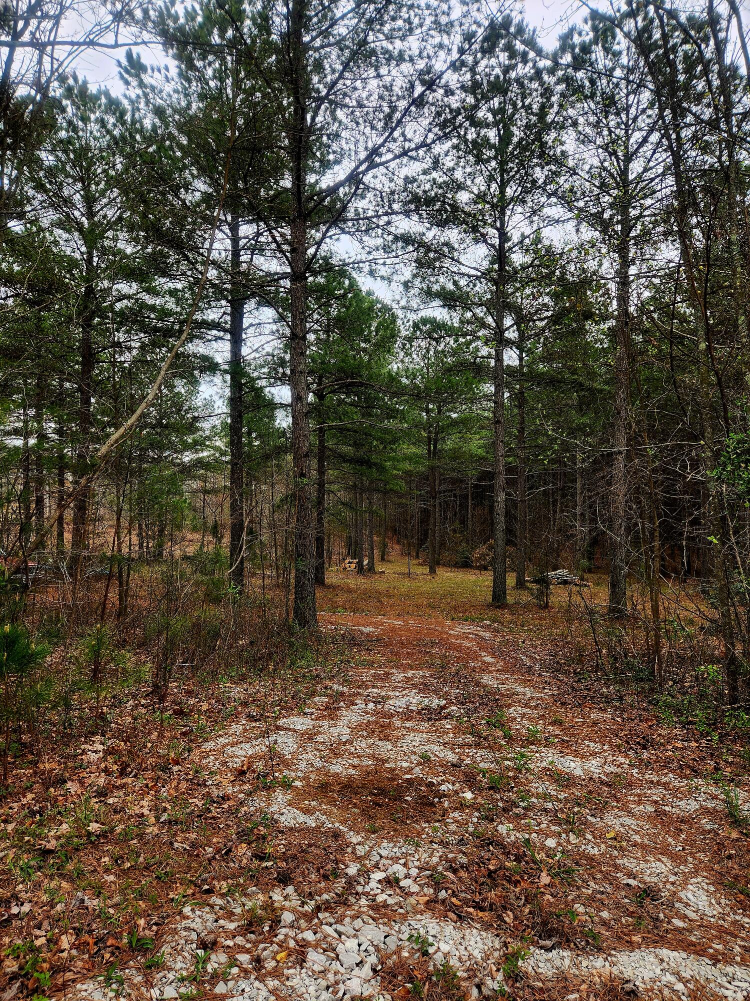 220 Browns Trace Road South Pittsburg, TN 37380 - Photo 13 of 34 20250402_110001