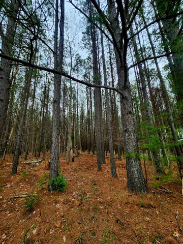 $750,000 | 220 Browns Trace Road, South Pittsburg, TN 37380