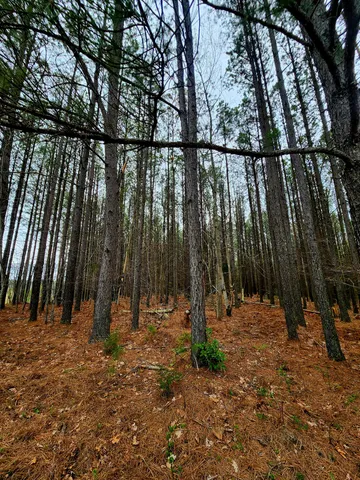 $750,000 | 220 Browns Trace Road, South Pittsburg, TN 37380