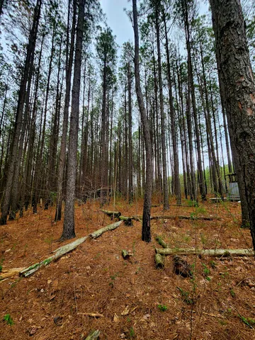 $750,000 | 220 Browns Trace Road, South Pittsburg, TN 37380