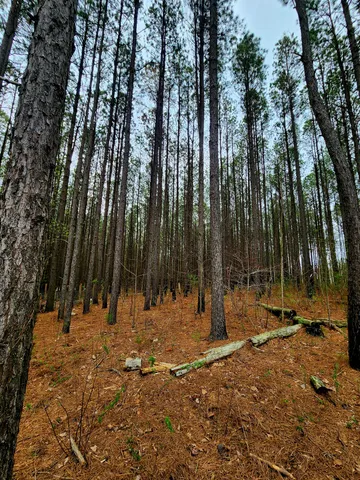 $750,000 | 220 Browns Trace Road, South Pittsburg, TN 37380