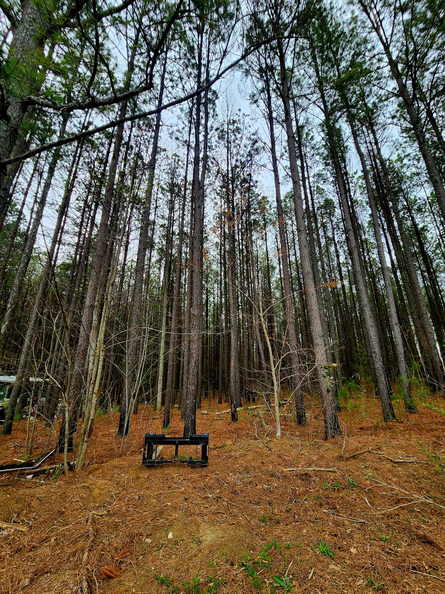 220 Browns Trace Road South Pittsburg, TN 37380 - Photo 20 of 34 20250402_110914