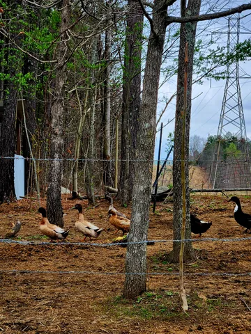 $750,000 | 220 Browns Trace Road, South Pittsburg, TN 37380