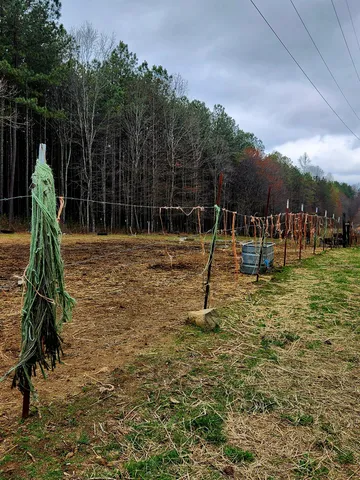 $750,000 | 220 Browns Trace Road, South Pittsburg, TN 37380