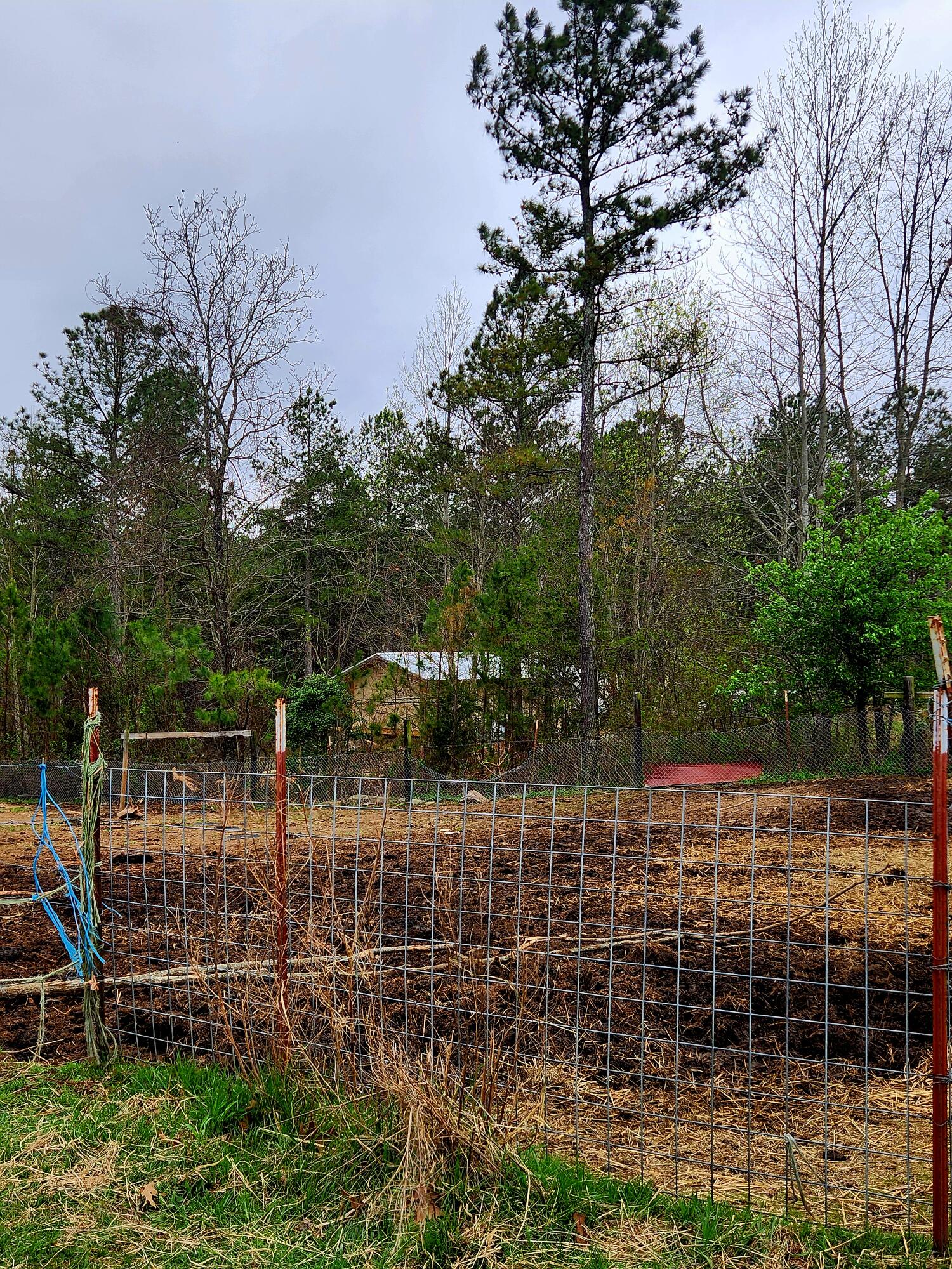 220 Browns Trace Road South Pittsburg, TN 37380 - Photo 28 of 34 20250402_110701