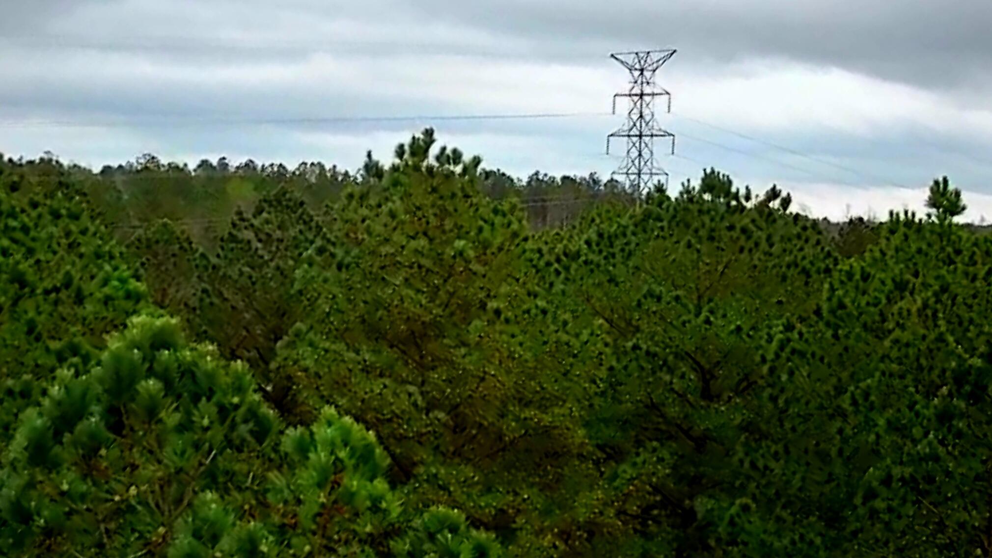 220 Browns Trace Road South Pittsburg, TN 37380 - Photo 32 of 34 IMG_20250402_1056027