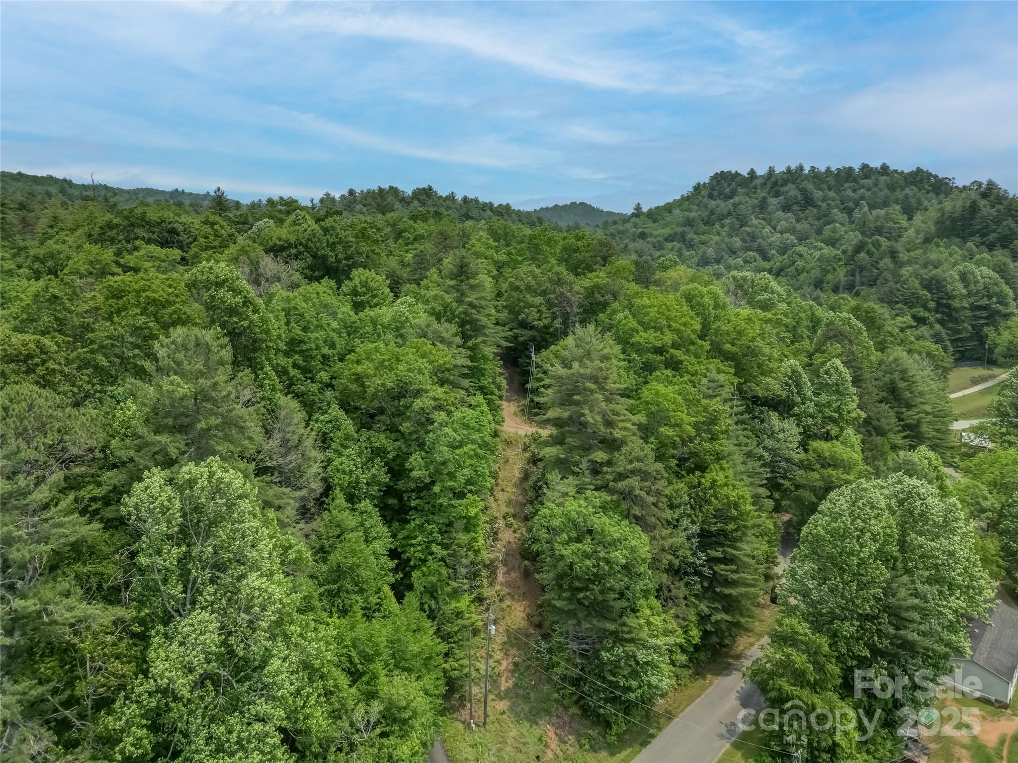 0 Israel Road Brevard, NC 28712 - Photo 10 of 17