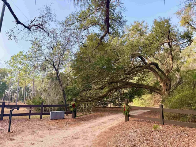 $530,000 | 13137 Old Settlement Road, Tallahassee, FL 32309