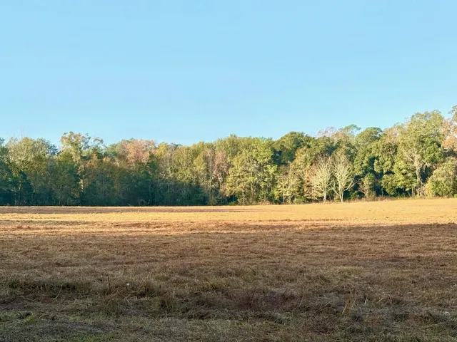 $530,000 | 13137 Old Settlement Road, Tallahassee, FL 32309