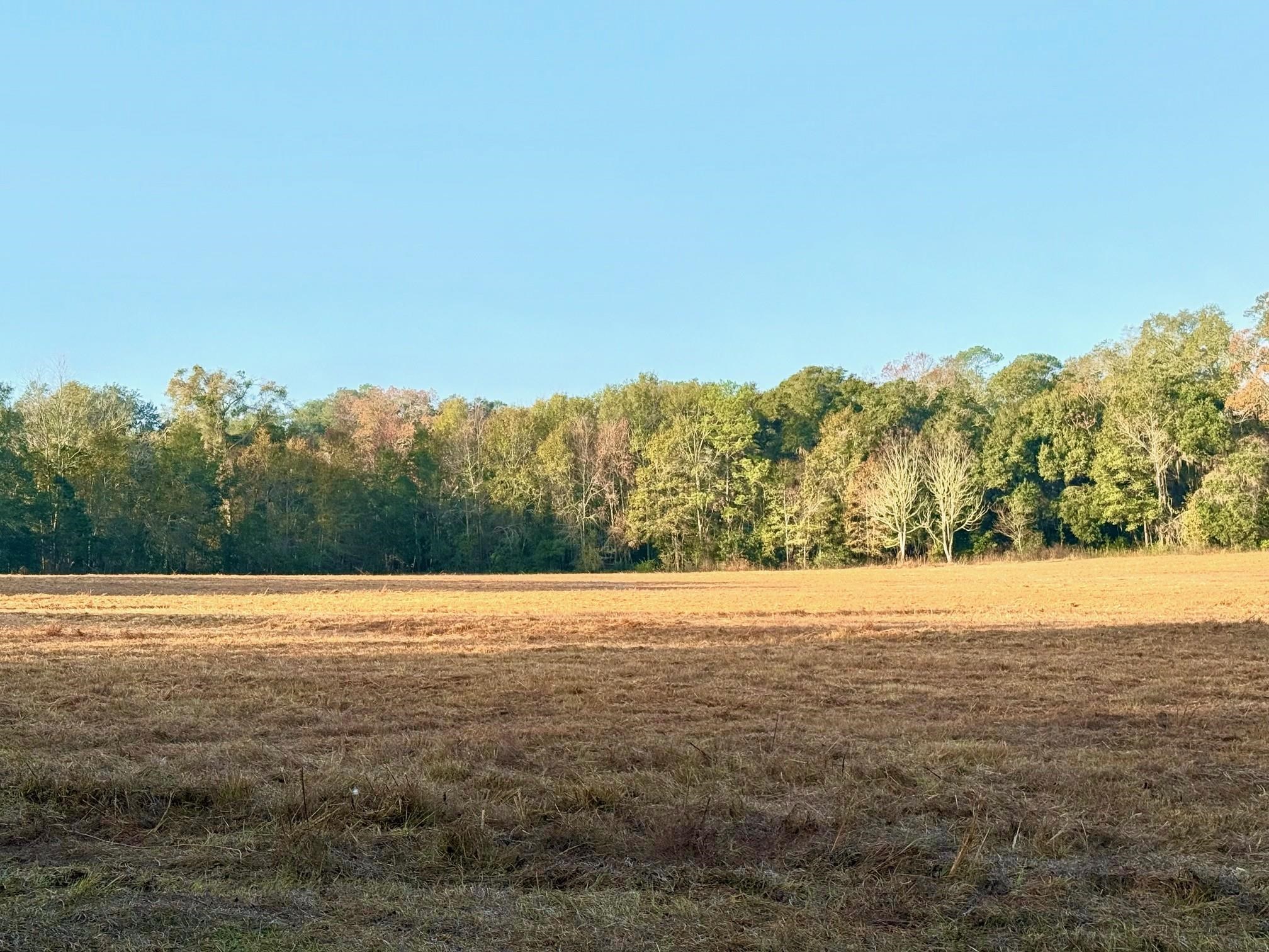 13137 Old Settlement Road Tallahassee, FL 32309 - Photo 5 of 6