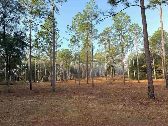 $530,000 | 13137 Old Settlement Road, Tallahassee, FL 32309