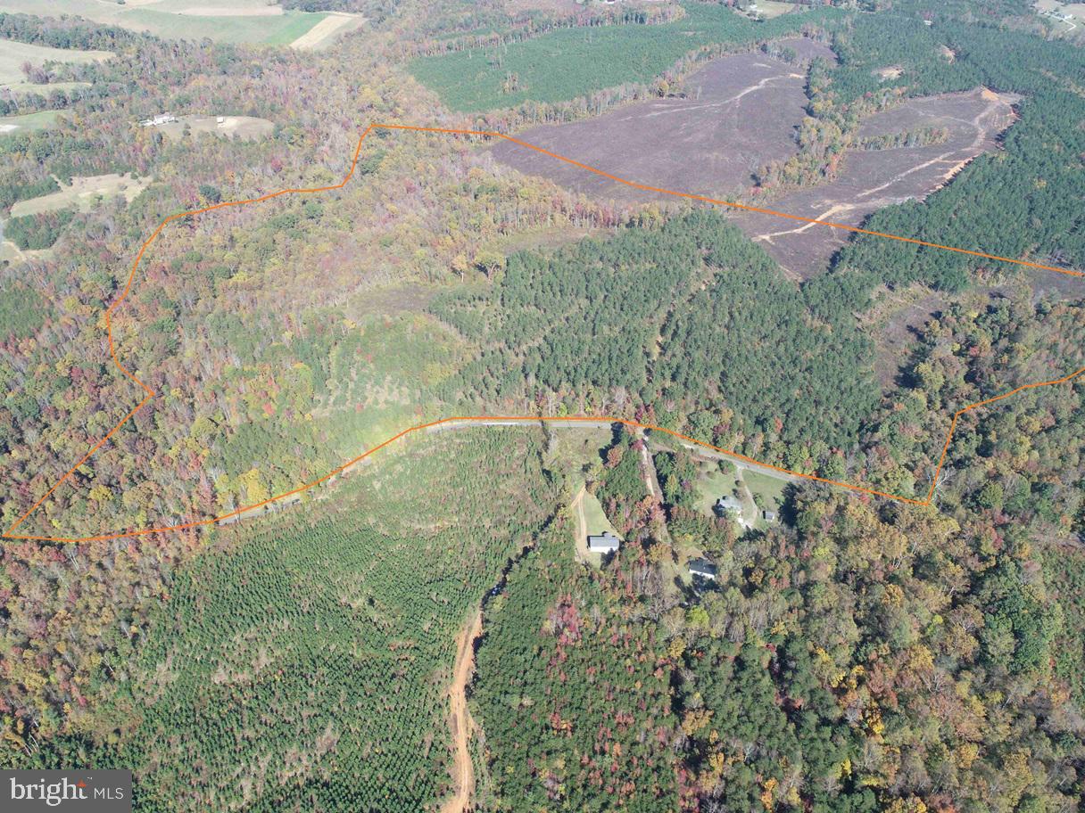 Woodfork Road Charlotte Court House, VA 23923 - Photo 3 of 12