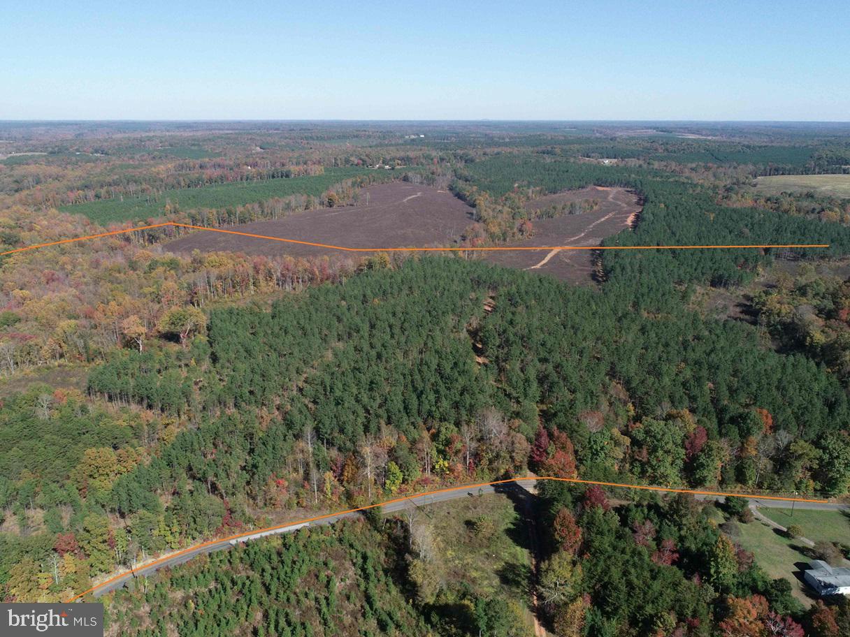 Woodfork Road Charlotte Court House, VA 23923 - Photo 4 of 12