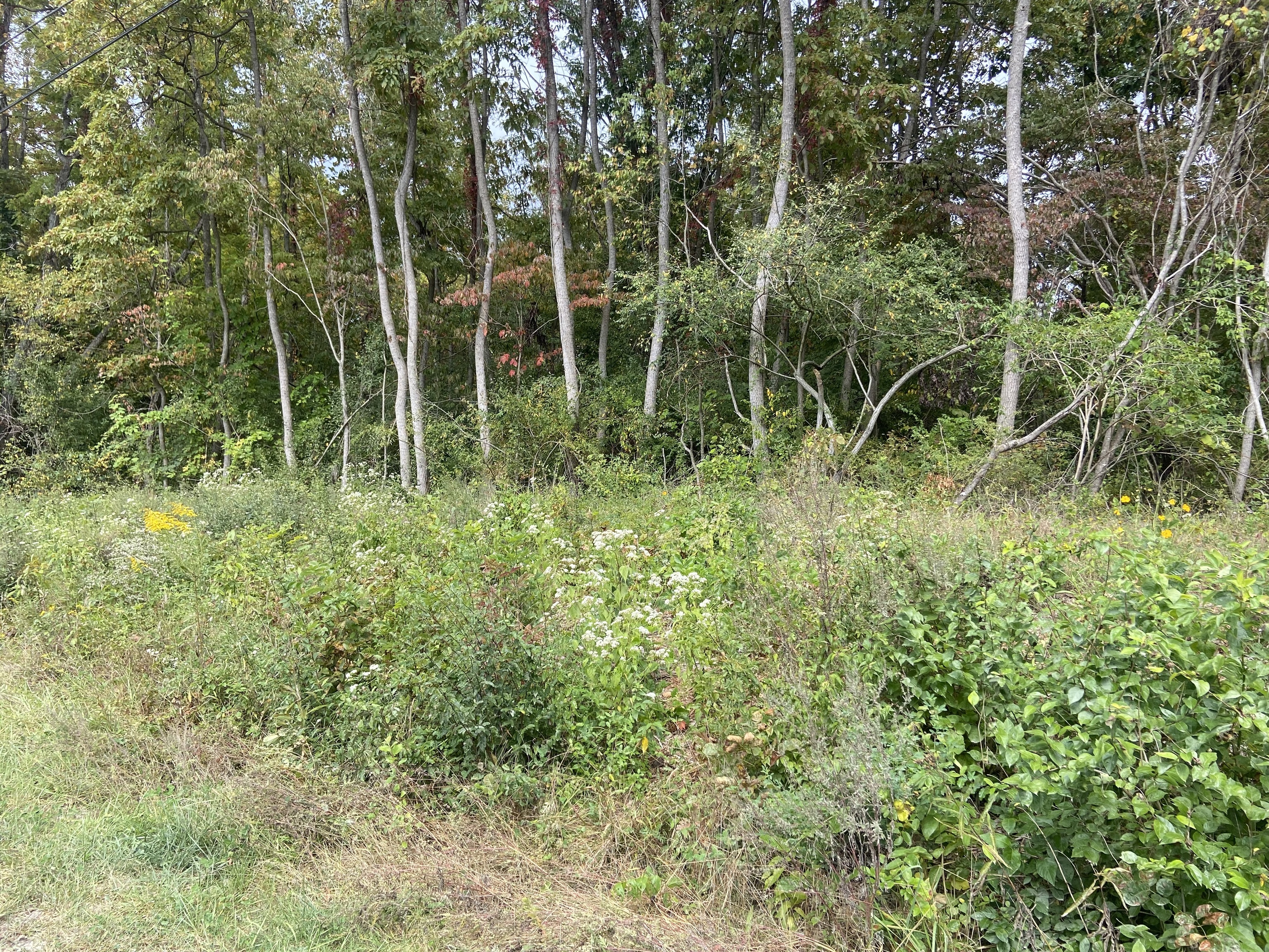 0 Chardin Road Poland, IN 47868 - Photo 6 of 7