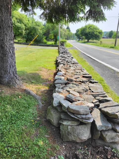 877 Buck River Road Thornhurst, PA 18424 - Photo 4 of 42 3164677747443893790