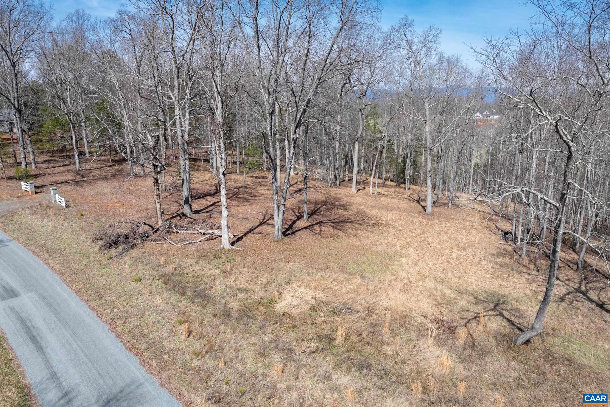 0 Narrows Way, Unit 15 Ruckersville, VA 22968 - Photo 11 of 24 a view of a forest with trees