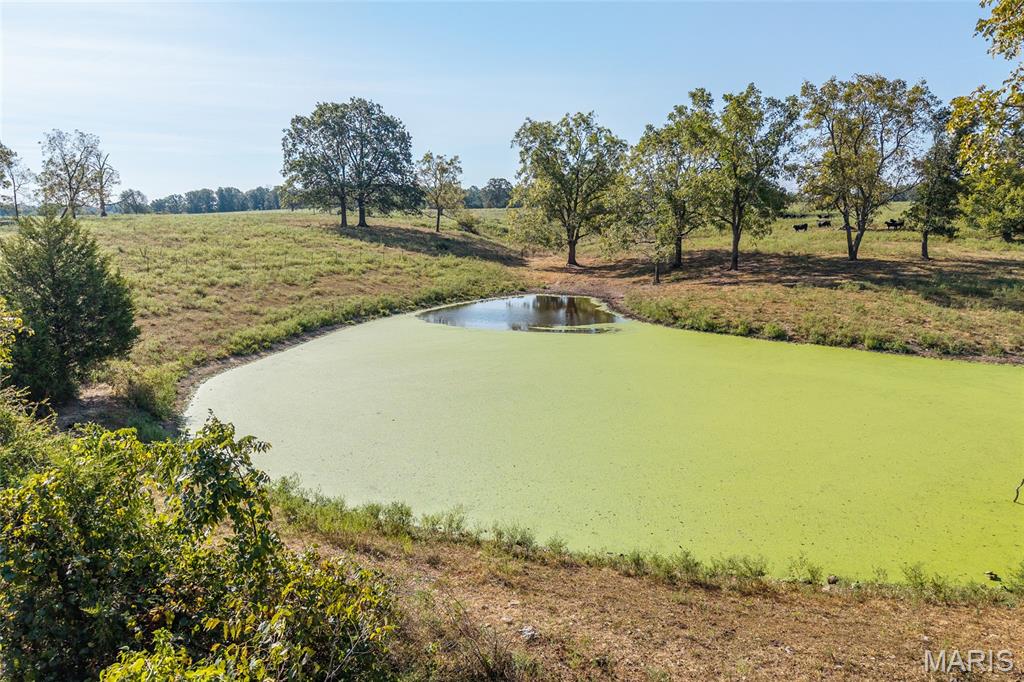 Tbd Equestrian Road Lebanon, MO 65536 - Photo 57 of 57 Gallery Image 57