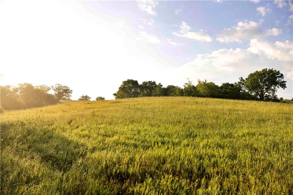 Wilderness Camp Road Lawson, MO 64062 - Photo 42 of 90