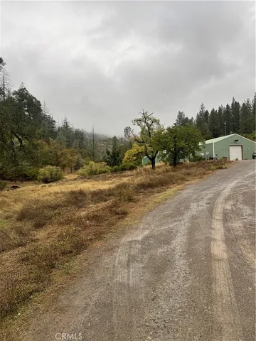 a view of dirt field with trees