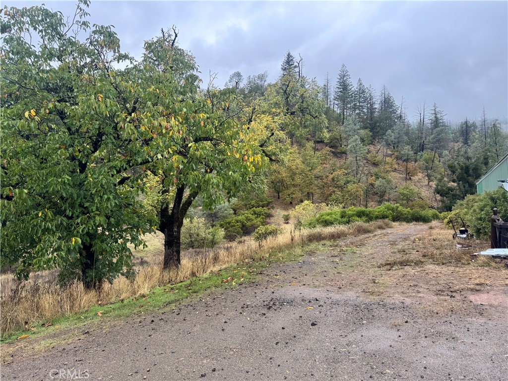 21575 My Way Middletown, CA 95461 - Photo 11 of 12 a view of a dirt road with large trees