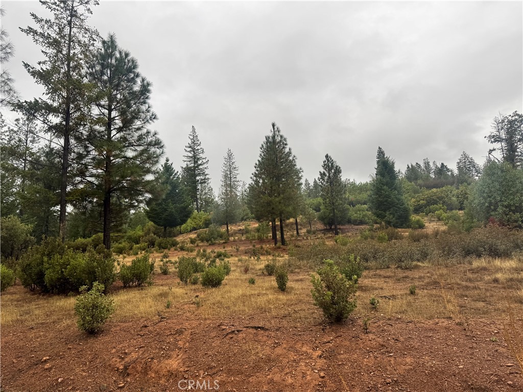 21575 My Way Middletown, CA 95461 - Photo 3 of 12 a view of a covered with trees in the background
