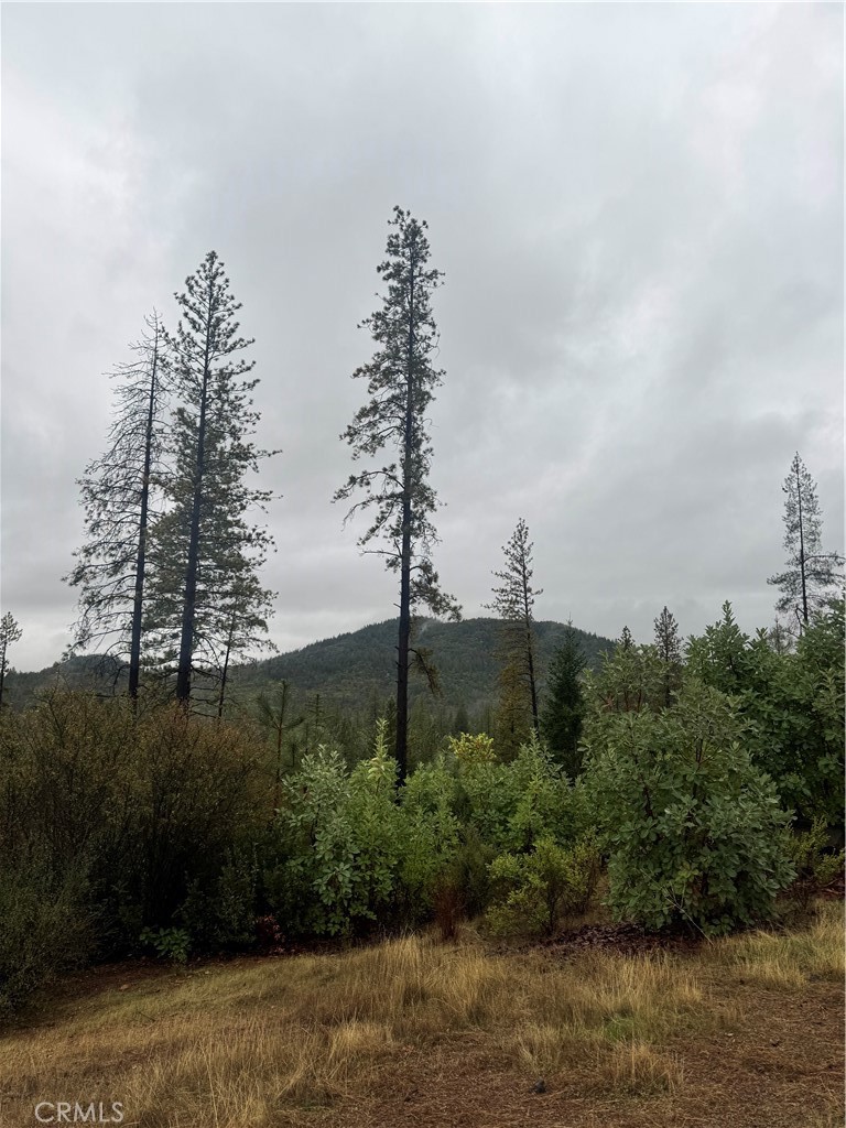 21575 My Way Middletown, CA 95461 - Photo 4 of 12 a view of a yard