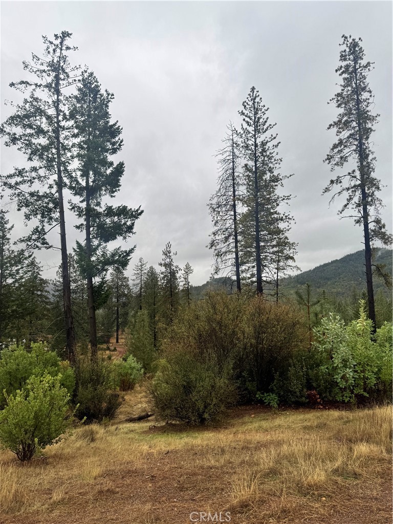 21575 My Way Middletown, CA 95461 - Photo 5 of 12 a view of outdoor space and yard