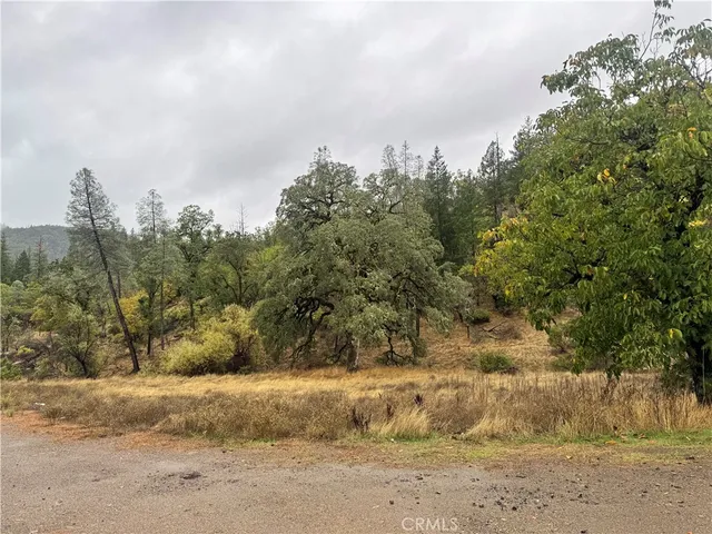 a view of a dirt road with large trees