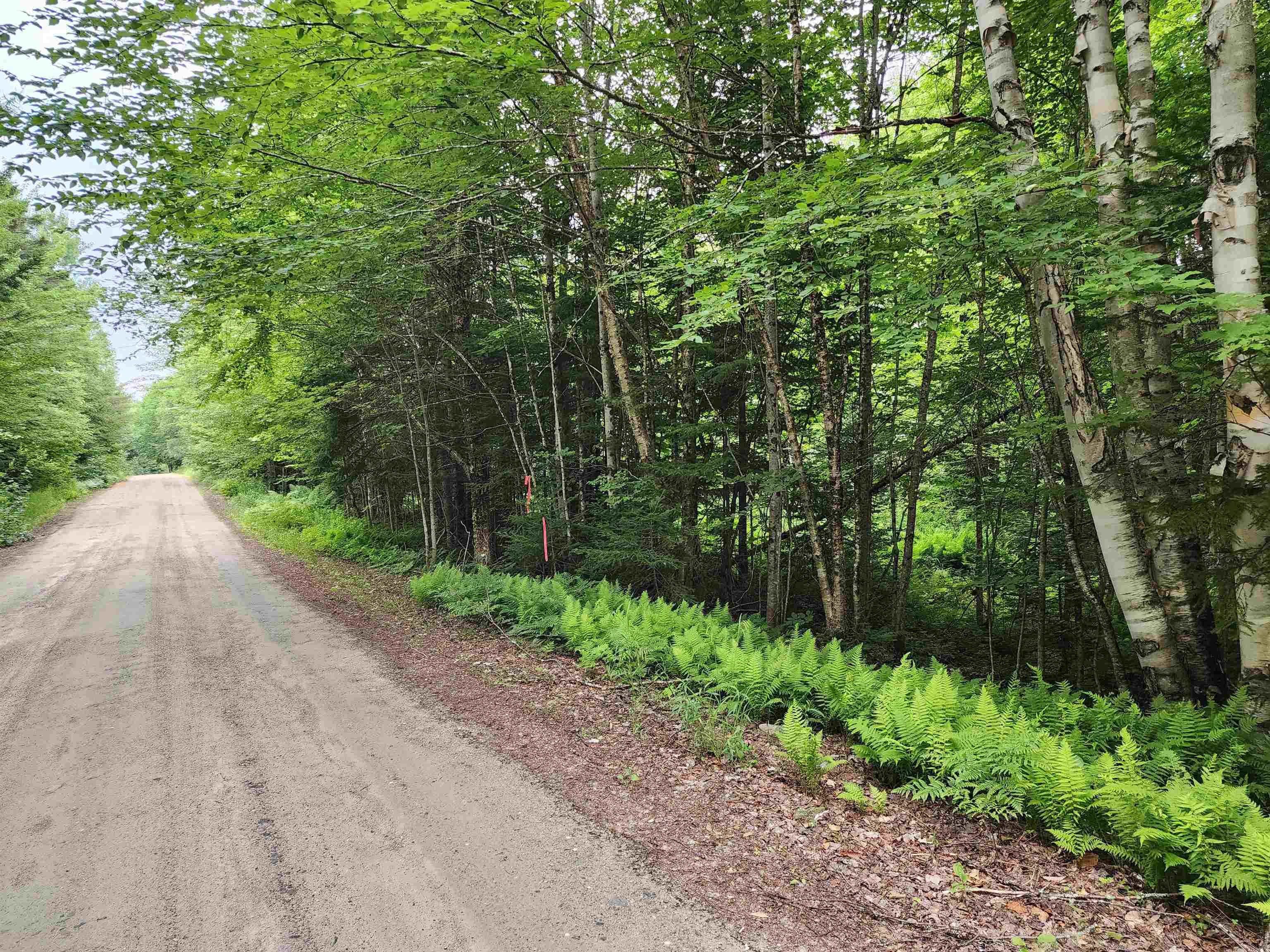 Lot 3 North Mountain Pond Road, Unit R11/21 Errol, NH 03579 - Photo 2 of 15