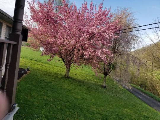 128 Honaker Road Sandstone, WV 25985 - Photo 23 of 26 Gallery Image 23