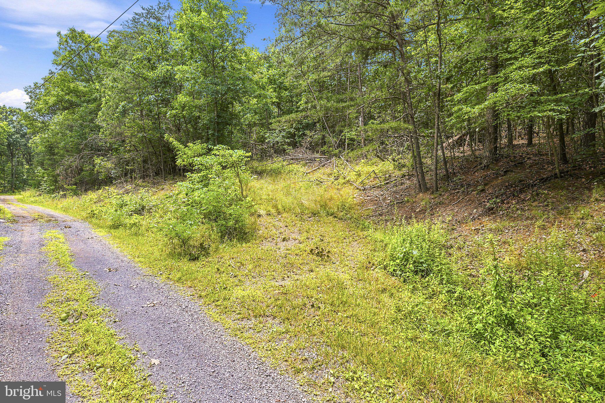 464 Belle Hollow Estates Road Augusta, WV 26704 - Photo 12 of 17 Beginnings of driveway for Tract 8