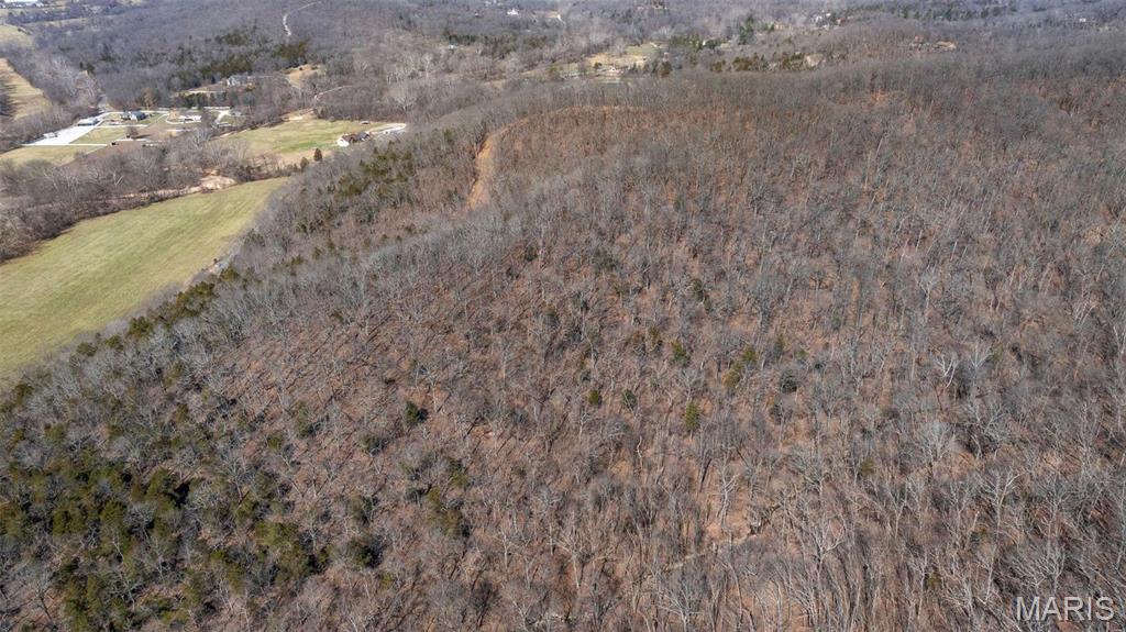 4896 Fox Creek Road Wildwood, MO 63069 - Photo 11 of 14