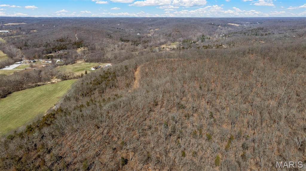 4896 Fox Creek Road Wildwood, MO 63069 - Photo 10 of 14