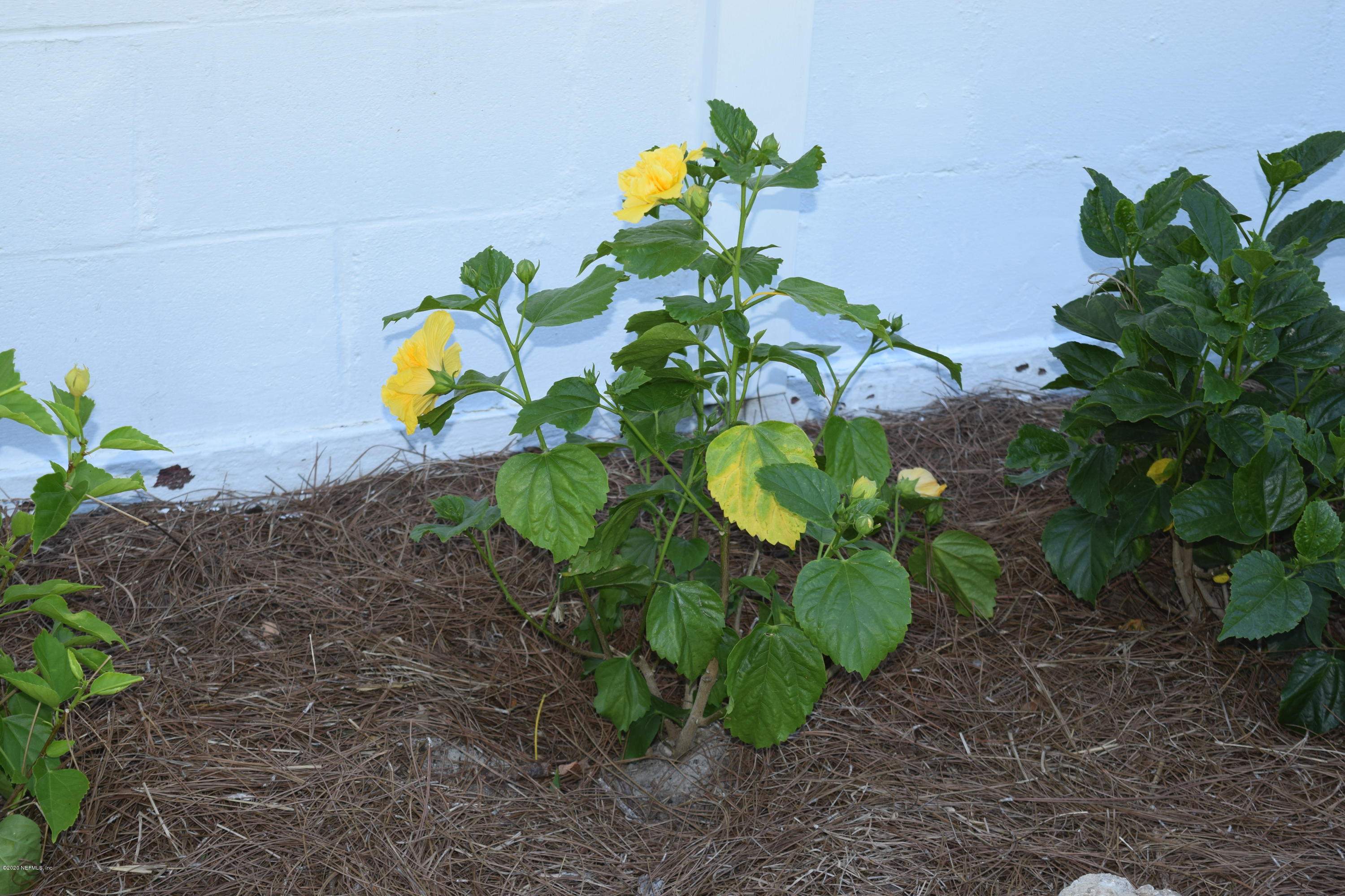 562 Sapelo Road Jacksonville, FL 32216 - Photo 51 of 53 2020-05-08 13.07.43