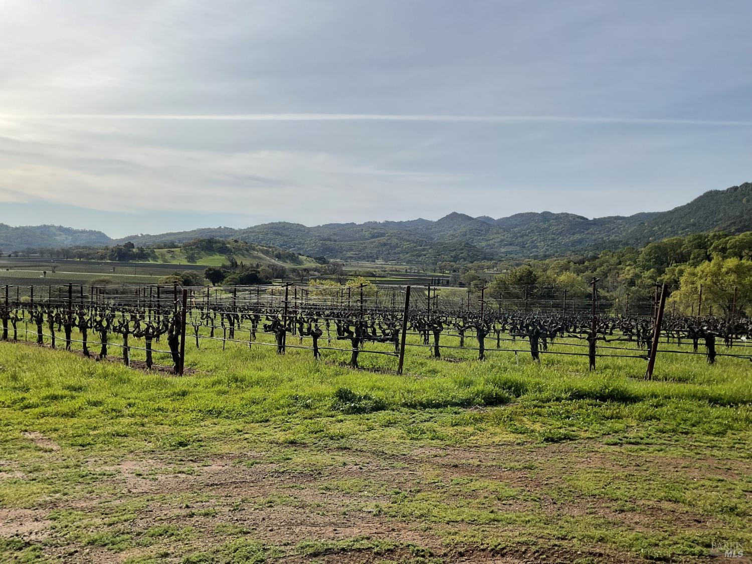 4060 Monticello Road Napa, CA 94558 - Photo 53 of 54