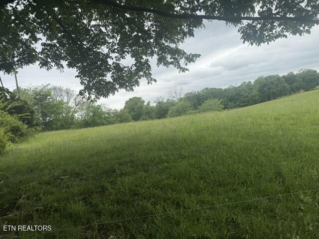 1717 Boyd Rinehart Road Clarksville, TN 37043 - Photo 3 of 4 IMG_0449