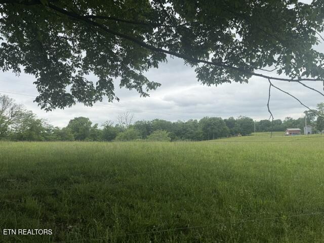 1717 Boyd Rinehart Road Clarksville, TN 37043 - Photo 4 of 4 IMG_0448