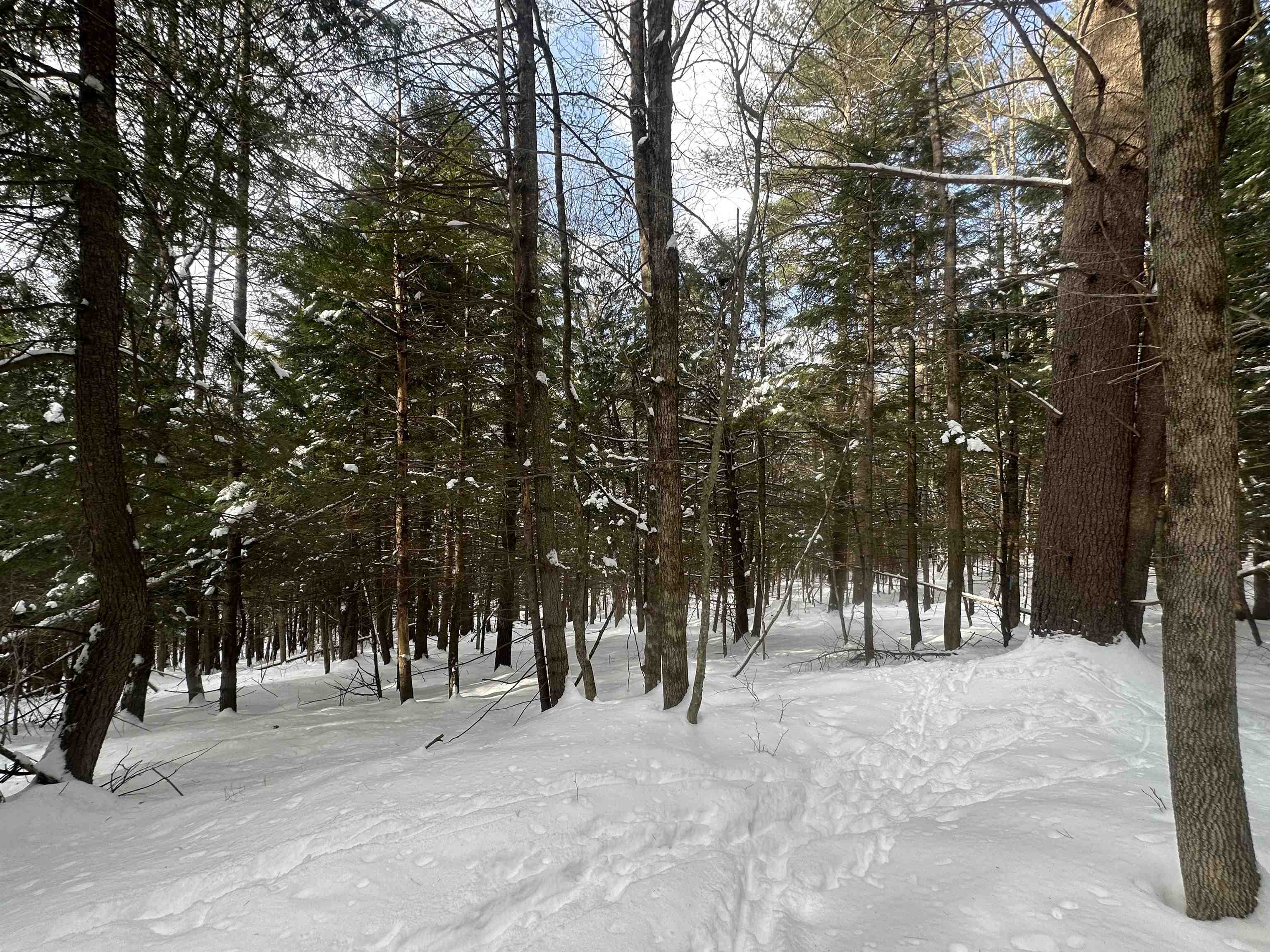 0 Bayley Way, Unit 5203 Quechee, VT 05059 - Photo 1 of 15